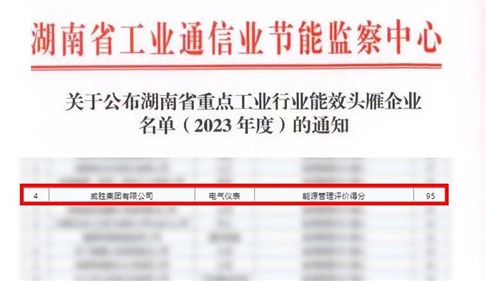 喜讯|华体会·(hth)体育集团上榜湖南省能效“头雁”企业名单