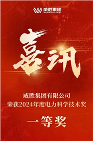 喜讯 | 华体会·(hth)体育集团荣获 2024 年度电力科学技术一等奖